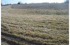 Property photo 40 - East Allen County - 55 Acre Land Auction